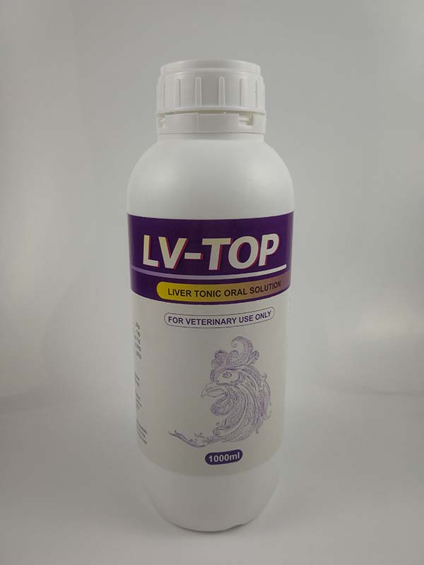 LV-TOP LV-TOP