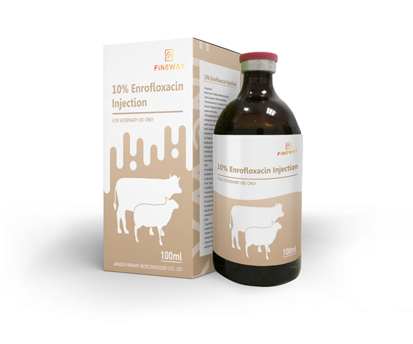 10% Enrofloxacin Injection