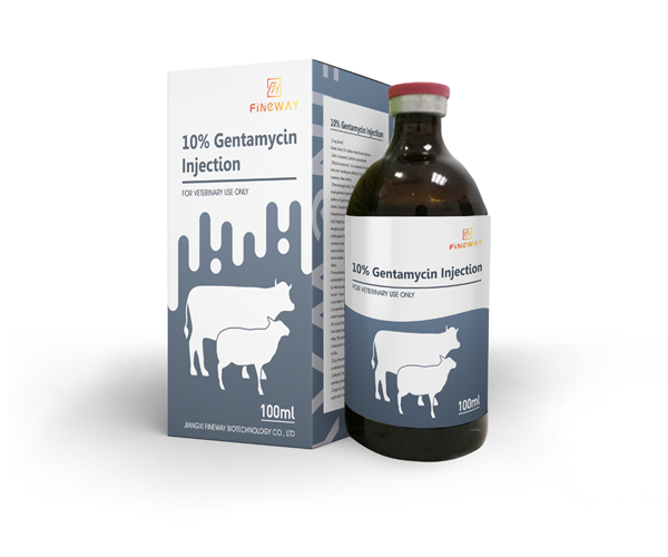 10% Gentamycin Injection 10% Gentamycin Injection