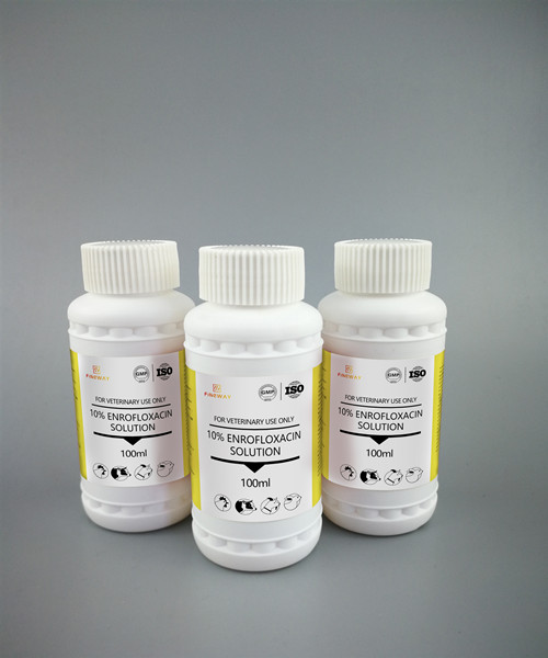 10% Enrofloxacin Solution