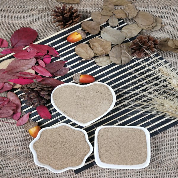 Fungal  Amylase Fungal  Amylase