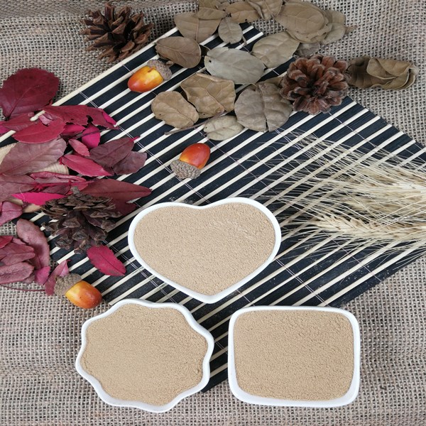 Bacillus licheniformis Bacillus licheniformis