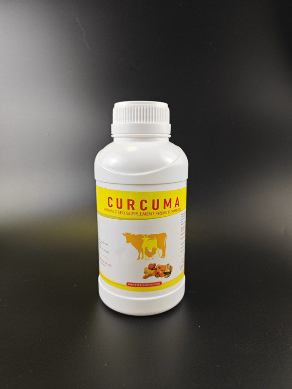 CURCUMA CURCUMA