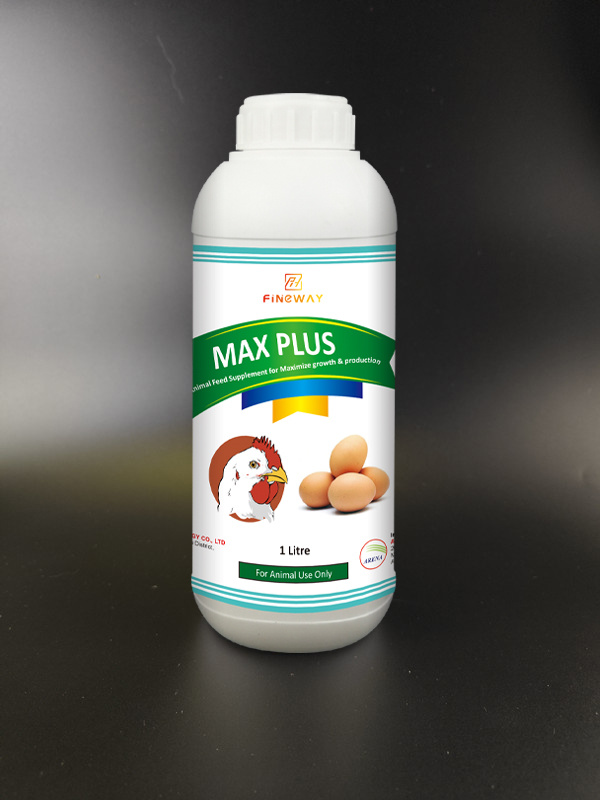 MAX PLUS - Current page 1